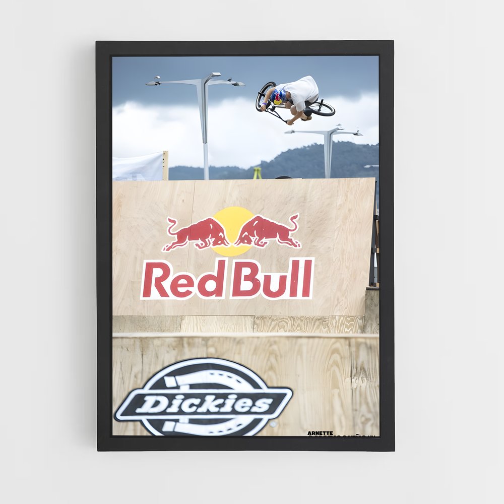 Poster Envol Urbain – affiche BMX (vue 2)
